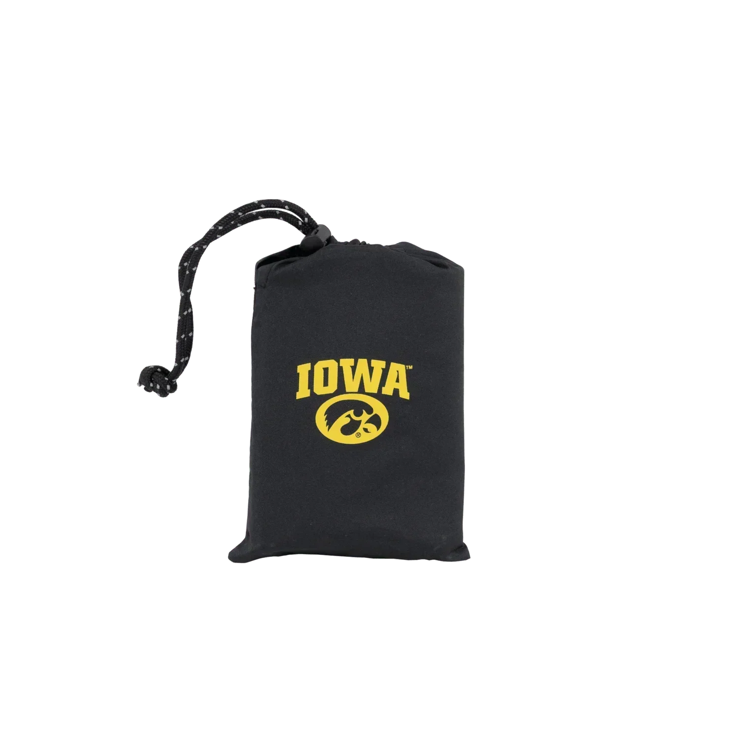 12V03B-IOWA-carrybag1