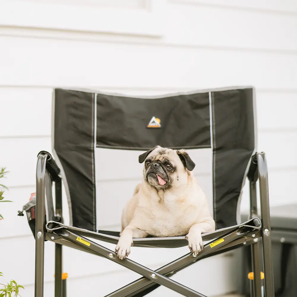 Freestyle-Rocker-XL-Dog-Lifestyle-1000x1000-1